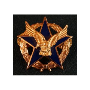 PIOCHA PROFESOR MILITAR ACADEMIA DE GUERRA AEREA, FUERZA AEREA DE CHILE