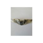 PIOCHA DE PILOTO ASTRONAUTA US. AIR FORCE (USAF)