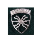 PIOCHA REGIMIENTO DE TELECOMUNICACIONES "MEMBRILLAR" EJERCITO DE CHILE