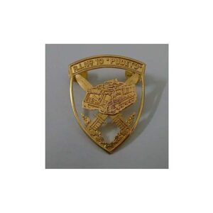 PIOCHA REGIMIENTO DE INFANTERIA Nº 10 "PUDETO" EJERCITO DE CHILE (ANTIGUA)