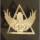 PIOCHA G.E.T. GENDARMERIA DE CHILE