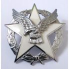 PIOCHA GRADUADO ACADEMIA DE GUERRA AEREA FUERZA AEREA DE CHILE