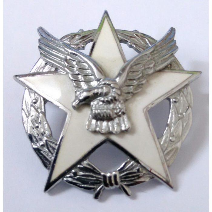 PIOCHA GRADUADO ACADEMIA DE GUERRA AEREA FUERZA AEREA DE CHILE