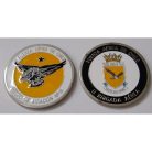 MEDALLA/MONEDA GRUPO DE AVIACIÓN N° 11, FUERZA AEREA DE CHILE