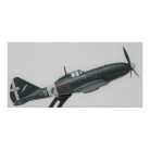 REGGIANE RE.2005 "SAGITARIO" Esc.1/100
