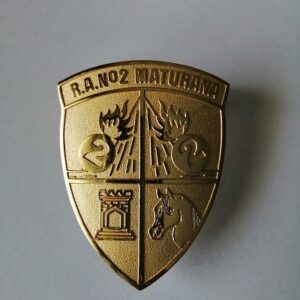 PIOCHA REGIMIENTO MATURANA