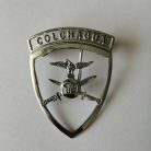 PIOCHA REGIMIENTO COLCHAGUA