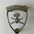 PIOCHA REGIMIENTO HUAMACHUCO