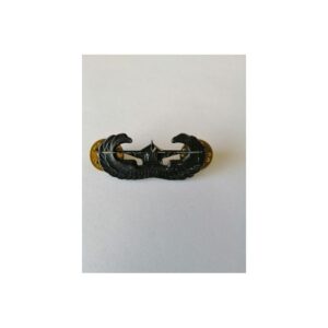 INSGNIA PLANEADOR US. ARMY