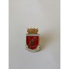 PIN I BRIGADA AEREA