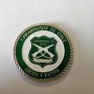 MEDALLA/MONEDA CONDECORACION AL MERITO CARABINEROS DE CHILE 20 AÑOS