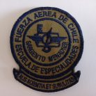 PARCHE FUERZA AEREA ESCUELA DE ESPECIALIDADES