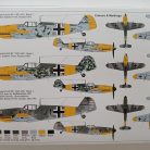IMG_20240302_120602