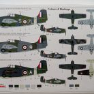 IMG_20240302_120713