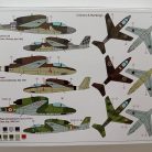 IMG_20240302_120859