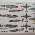 IMG_20240302_121749