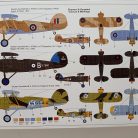 IMG_20240302_121920