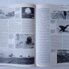 PAG THE ILLUSTRATED HISTORY WORL WORD II